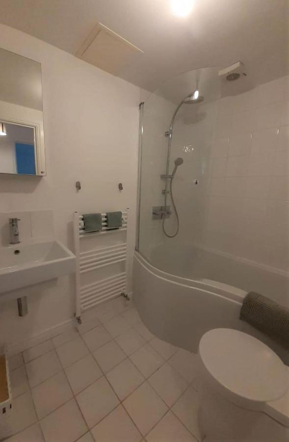 2 Bedroom Victorian Garden Flat London Exterior photo